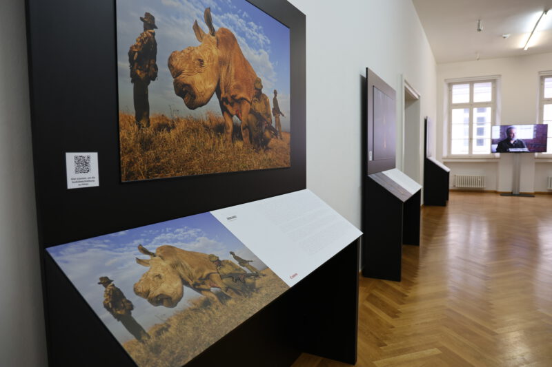 Eines der Ausstellungsmotive von Fotojournalist Brent Stirton: Ranger bewachen ein Breitmaulnashorn, um es vor Wilderern zu schützen. Texte zu Bildern gibt es in Flyern, im Film und in Brailleschrift, die ertastet werden kann.